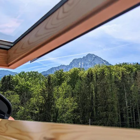 公寓 Staufen-chalet Hochreit 安格尔